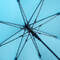 Umbrella with windproof system Umbrella with windproof system