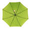 Umbrella on the inside Umbrella on the inside