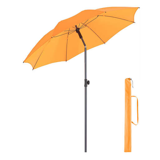 Parasol with case