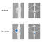 Square parasol with/without tilt Square parasol with/without tilt