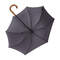 Umbrella frame Umbrella frame