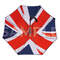 Umbrella sample 2 Umbrella sample 2